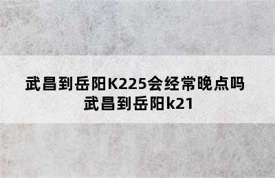 武昌到岳阳K225会经常晚点吗 武昌到岳阳k21